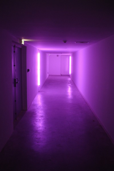 Underground Fluo Purple